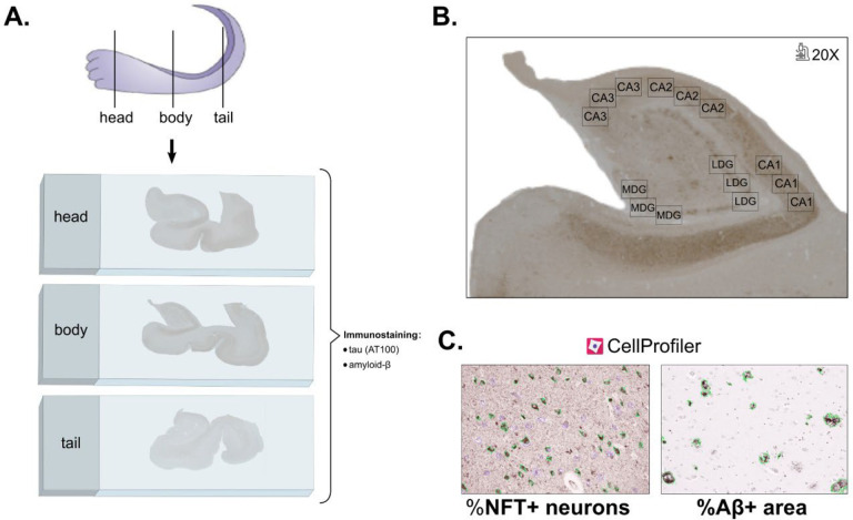 Figure 3.