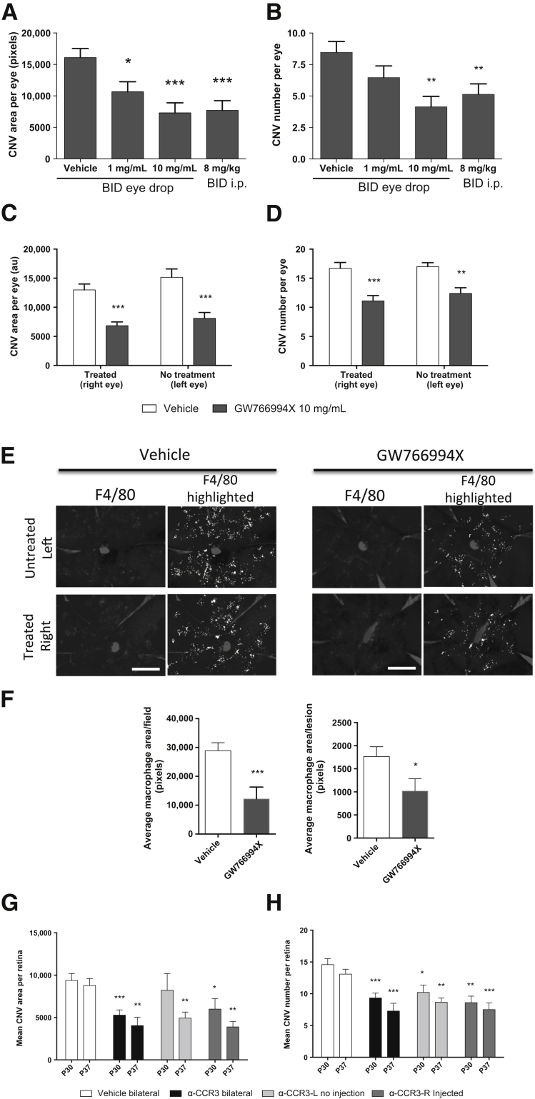 Figure 6