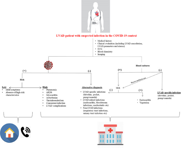 EJHF-1907-FIG-0001-c