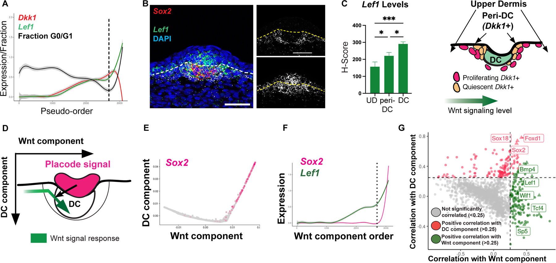 Figure 2: