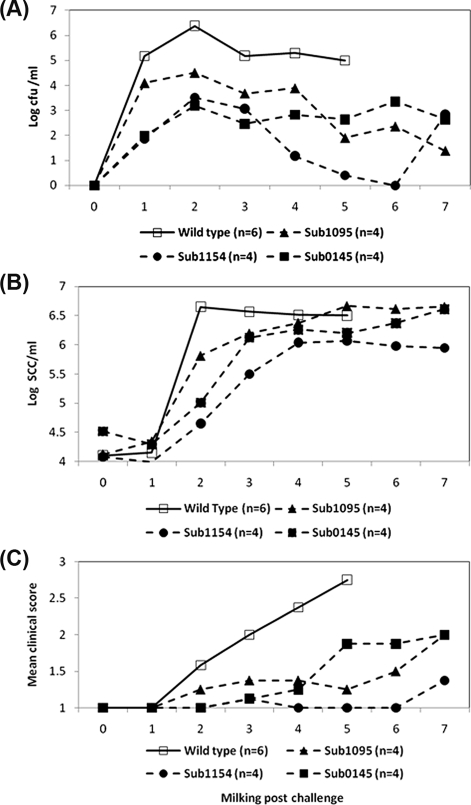 Figure 3.