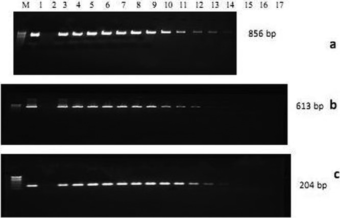 Fig 6