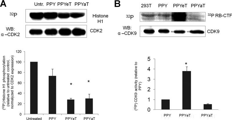 FIG 6