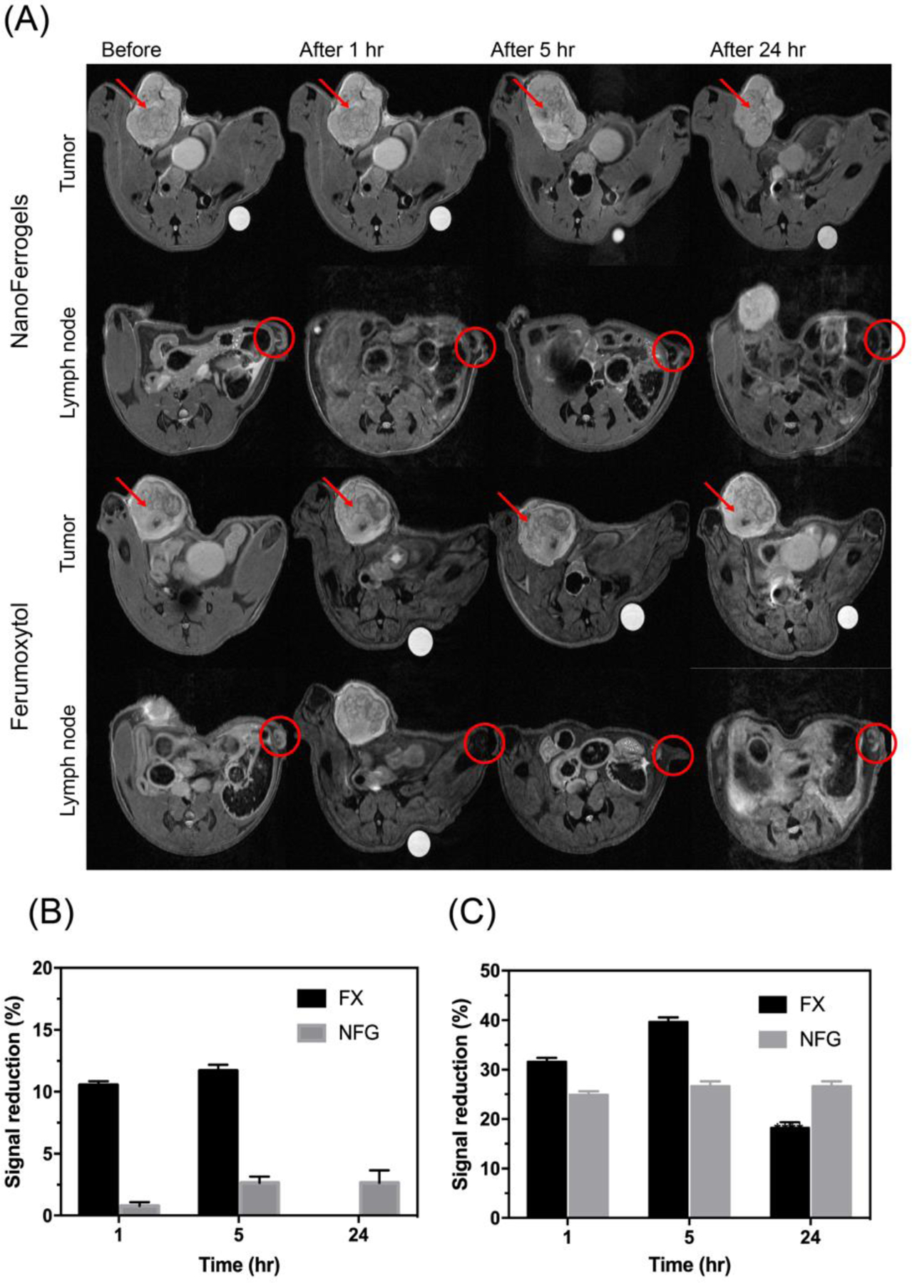 Fig. 7.