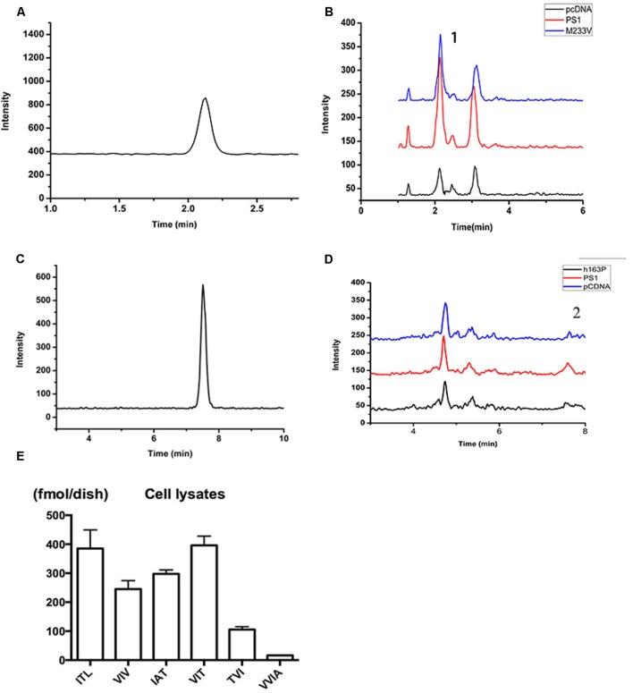 FIGURE 3