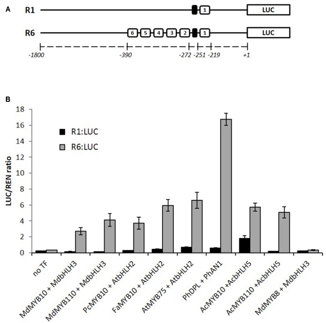 FIGURE 1