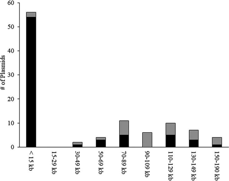 FIG 2