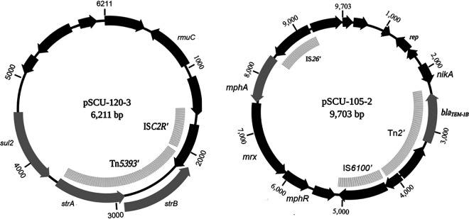 FIG 3