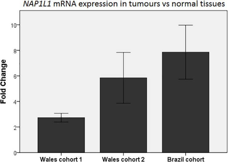 FIGURE 2