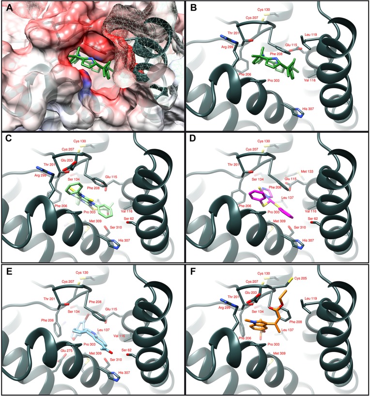 Fig. 2.