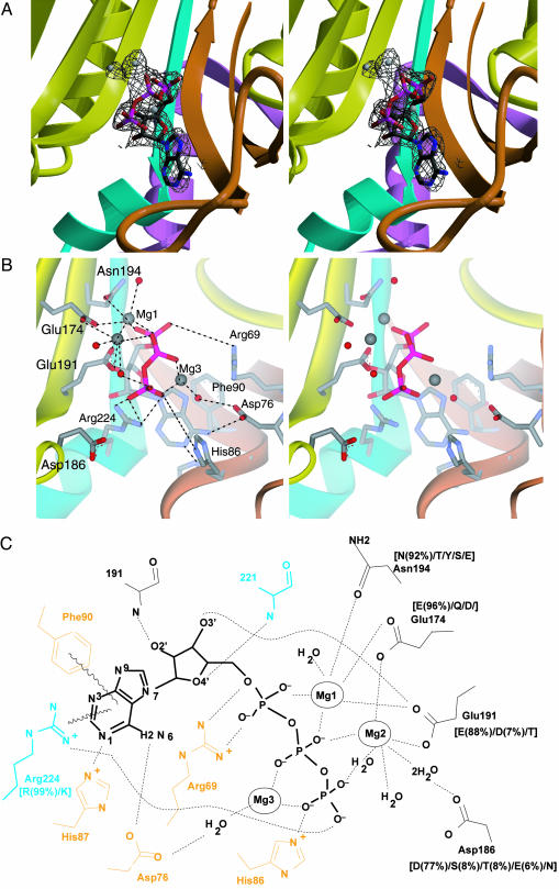 Fig. 4.