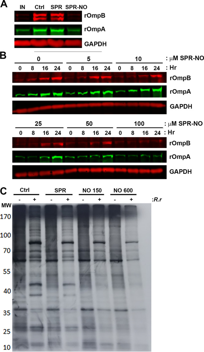 FIG 4