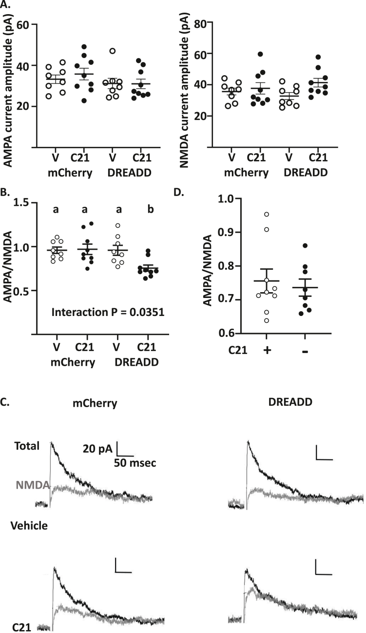 Figure 4