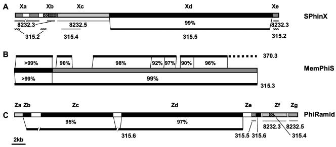 FIG. 2.