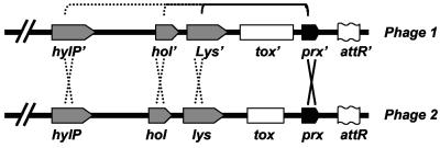 FIG. 5.