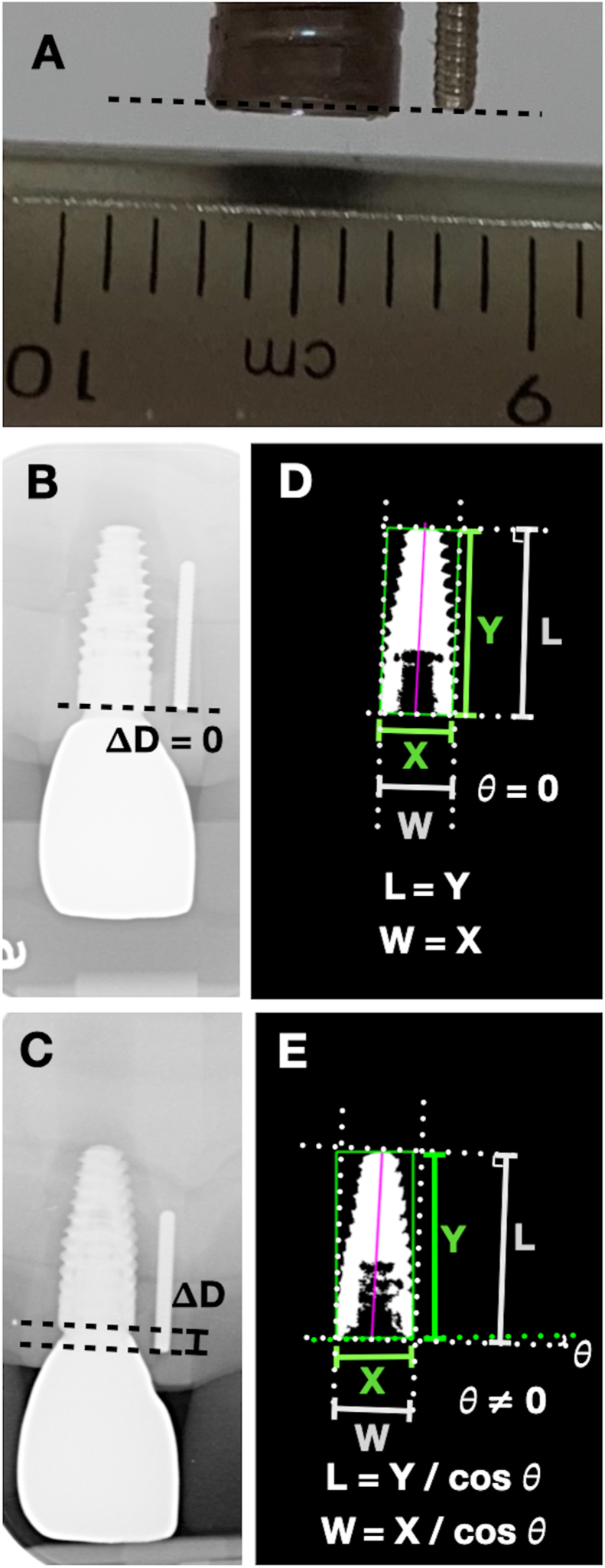 Fig. 2