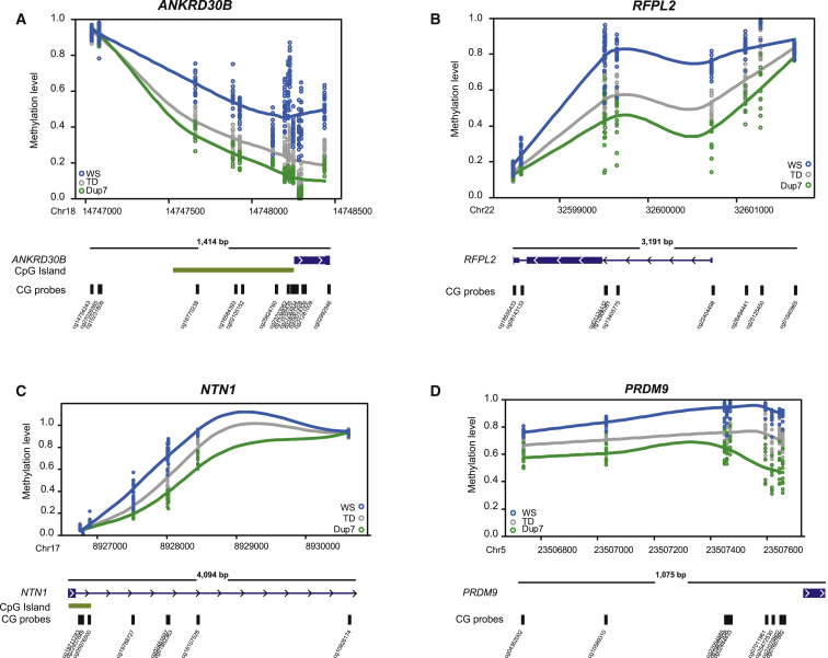 Figure 2