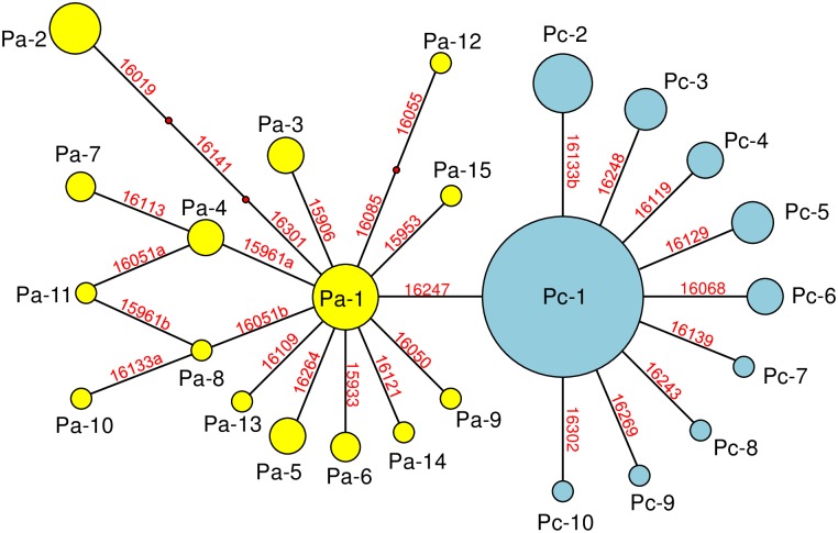 Fig 3