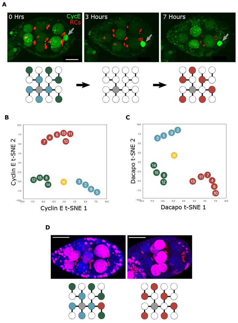 Figure 2.