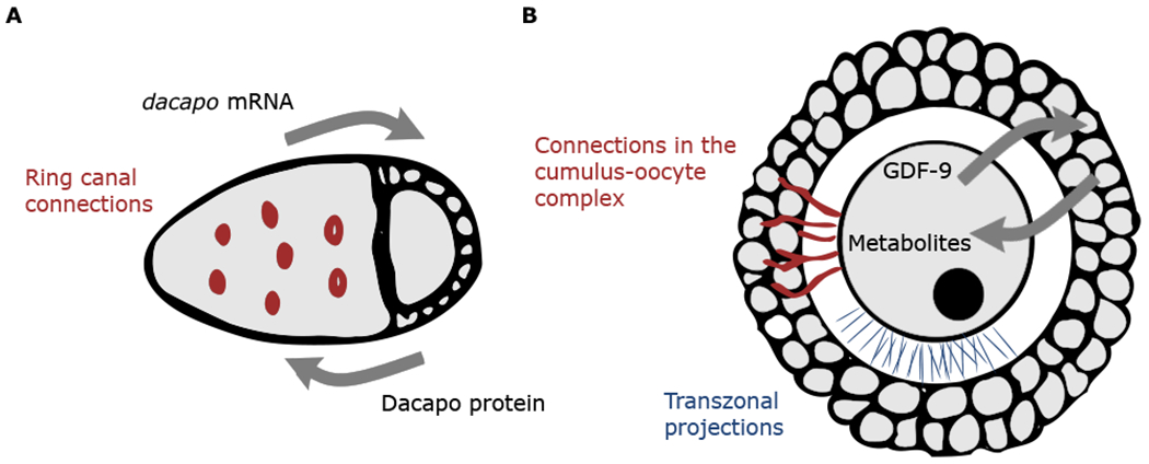 Figure 7.