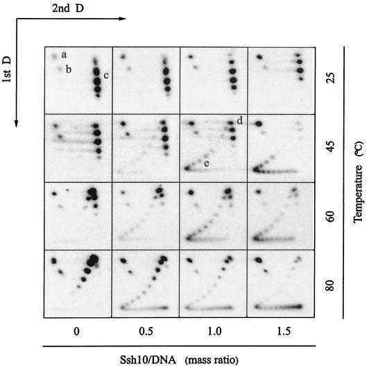 FIG. 5