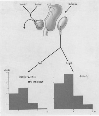 Fig. 8.