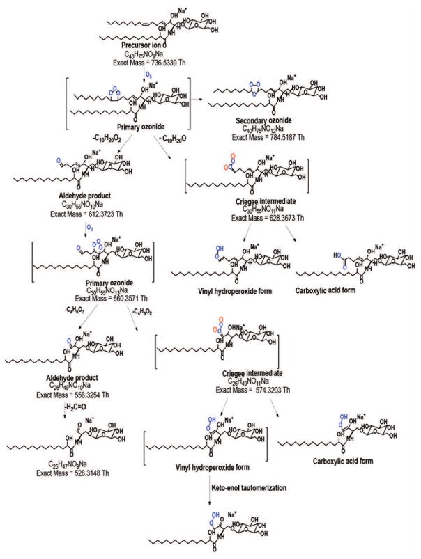 Scheme II