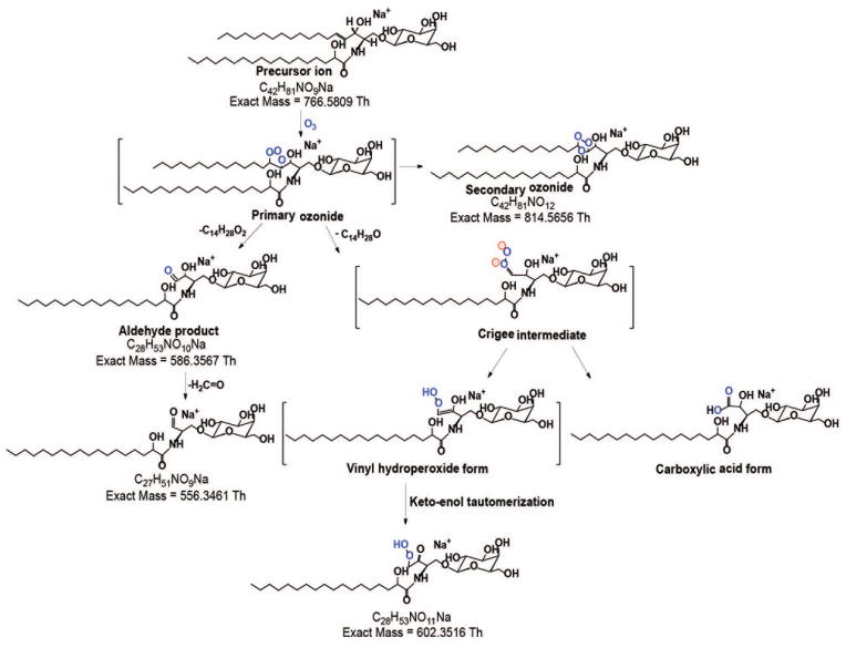 Scheme I