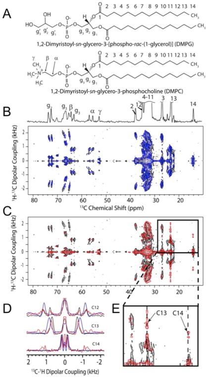 Figure 17