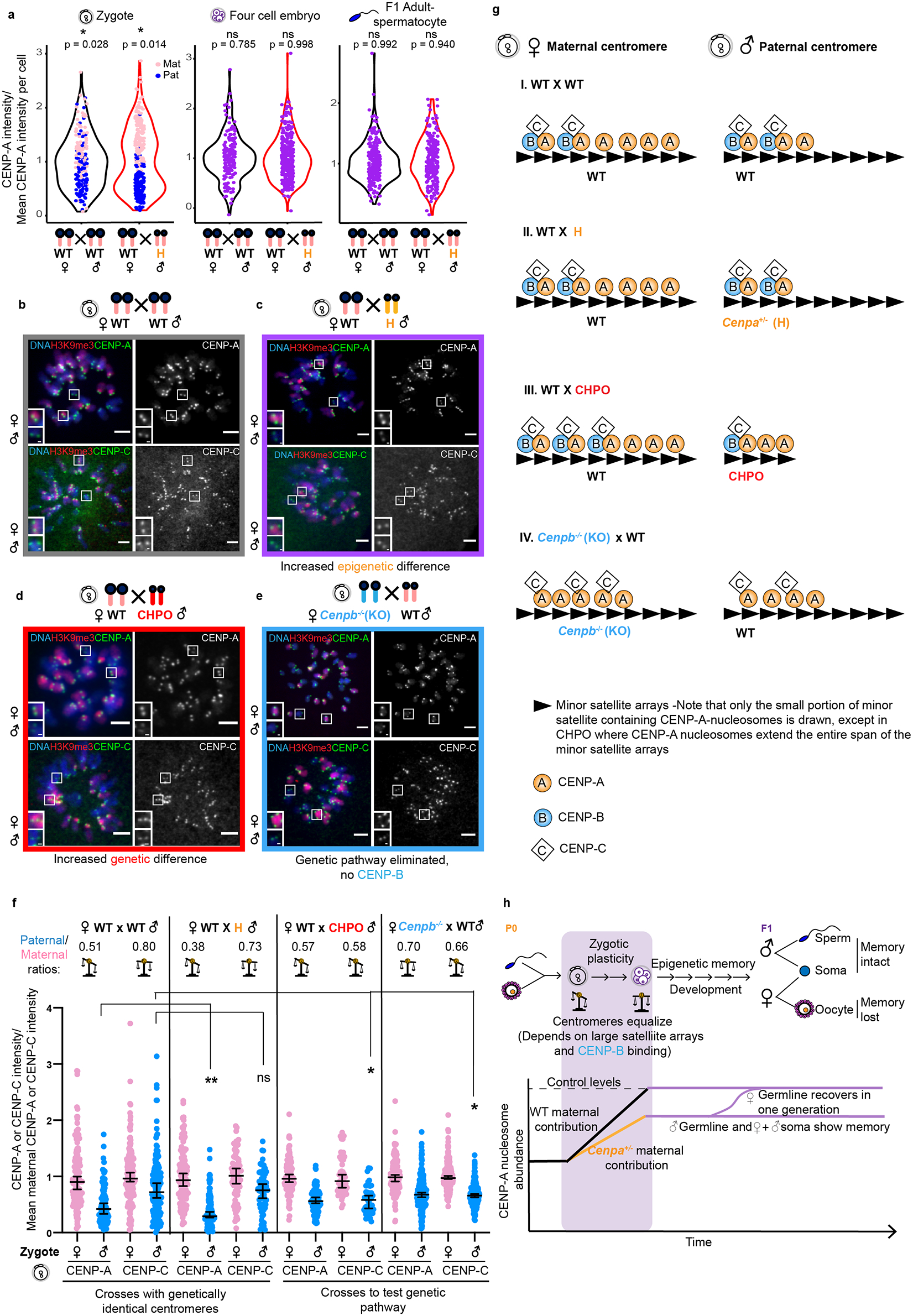 Fig. 6: