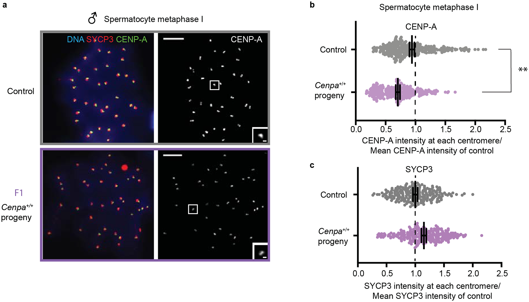 Extended Data Fig. 2