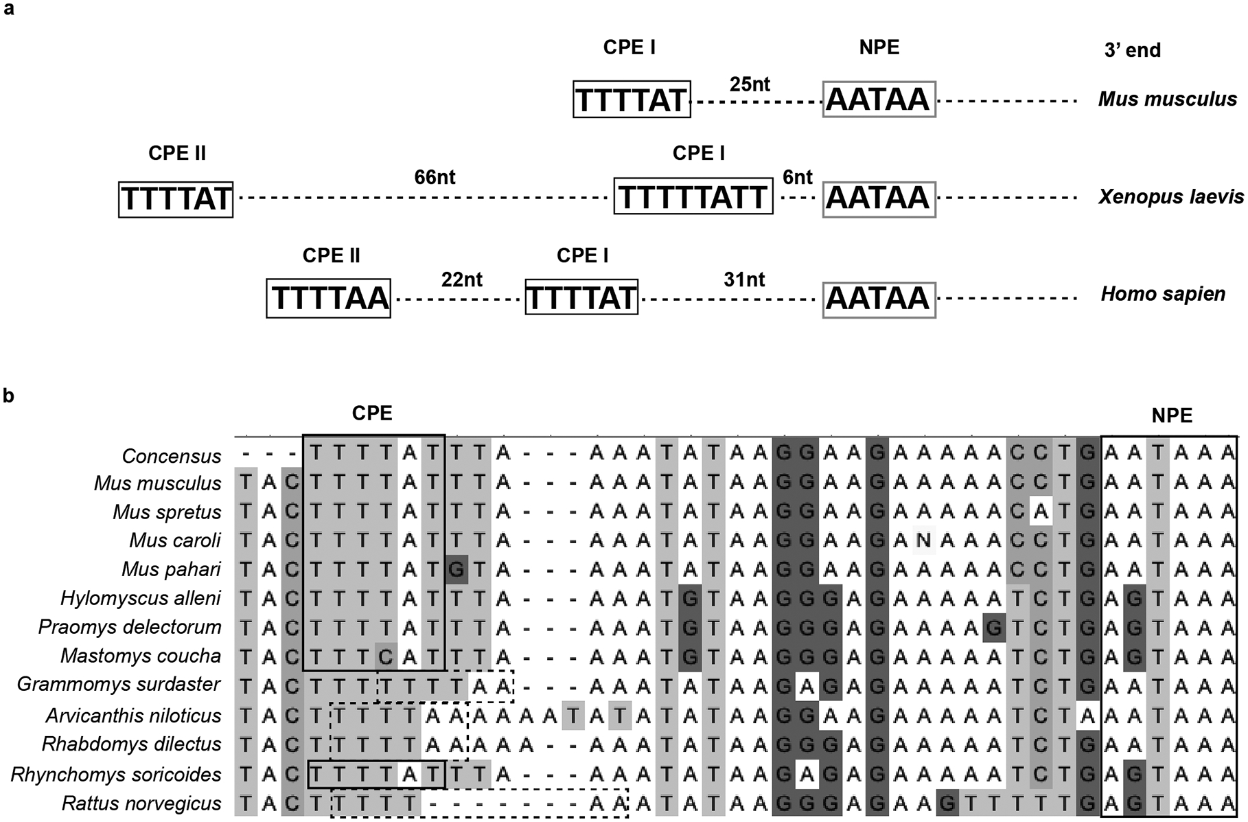 Extended Data Fig. 6