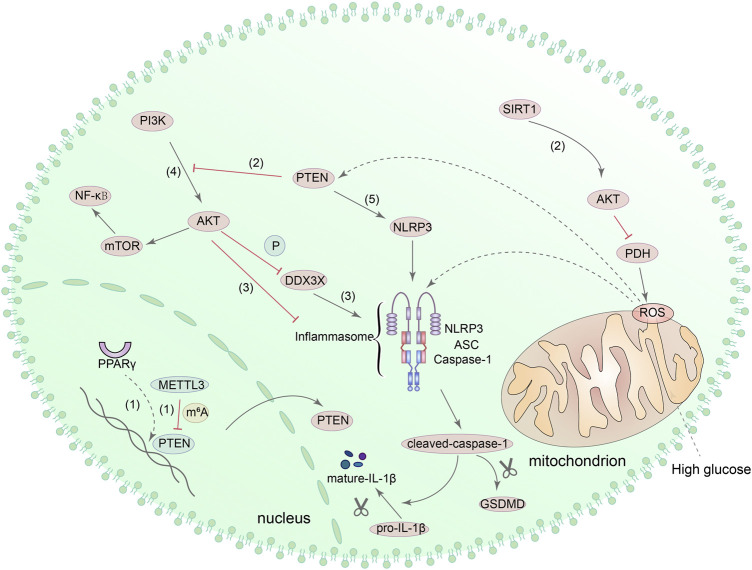 FIGURE 6