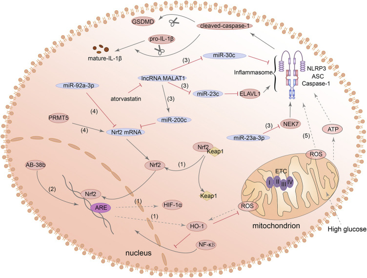 FIGURE 4