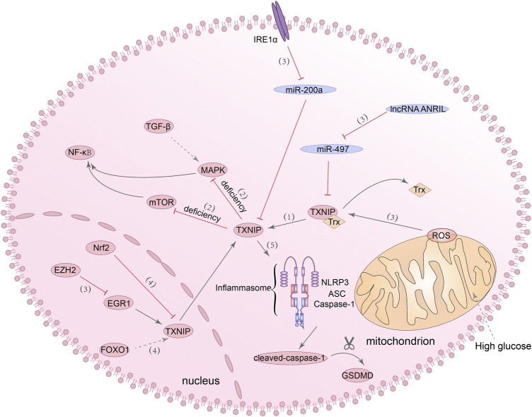 FIGURE 3