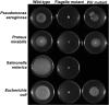 FIG 4