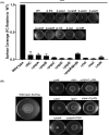 FIG 5