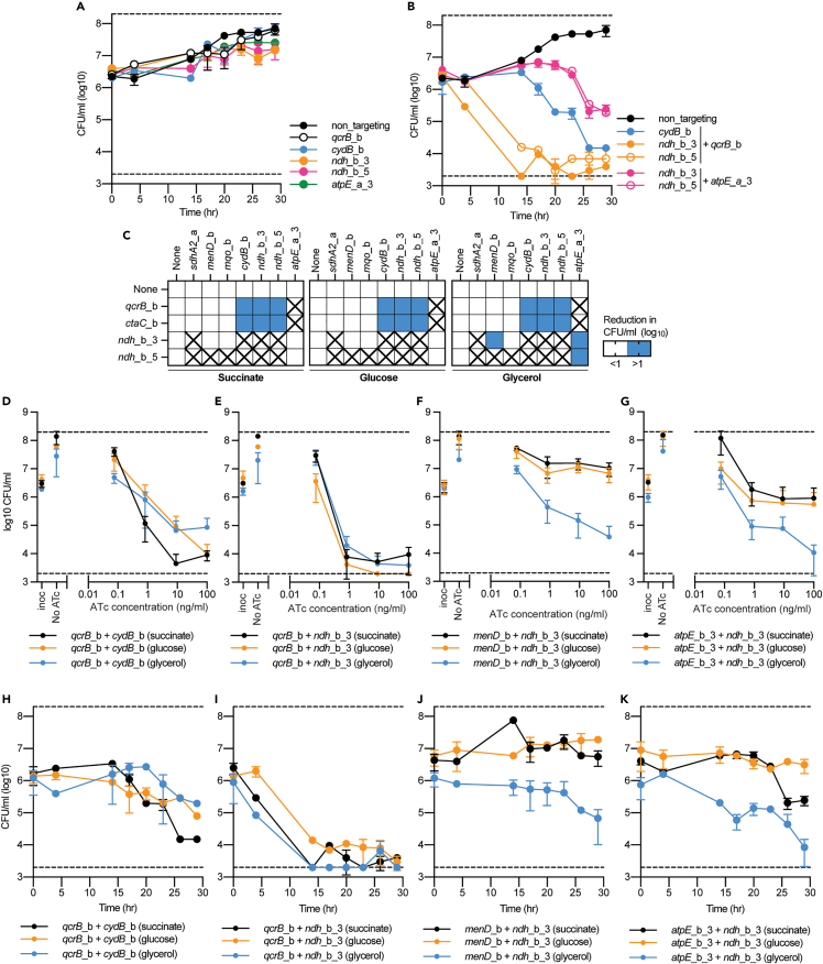 Figure 3