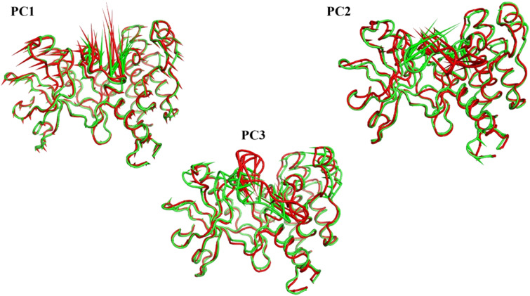 Fig. 20