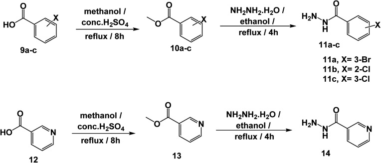 Scheme 2