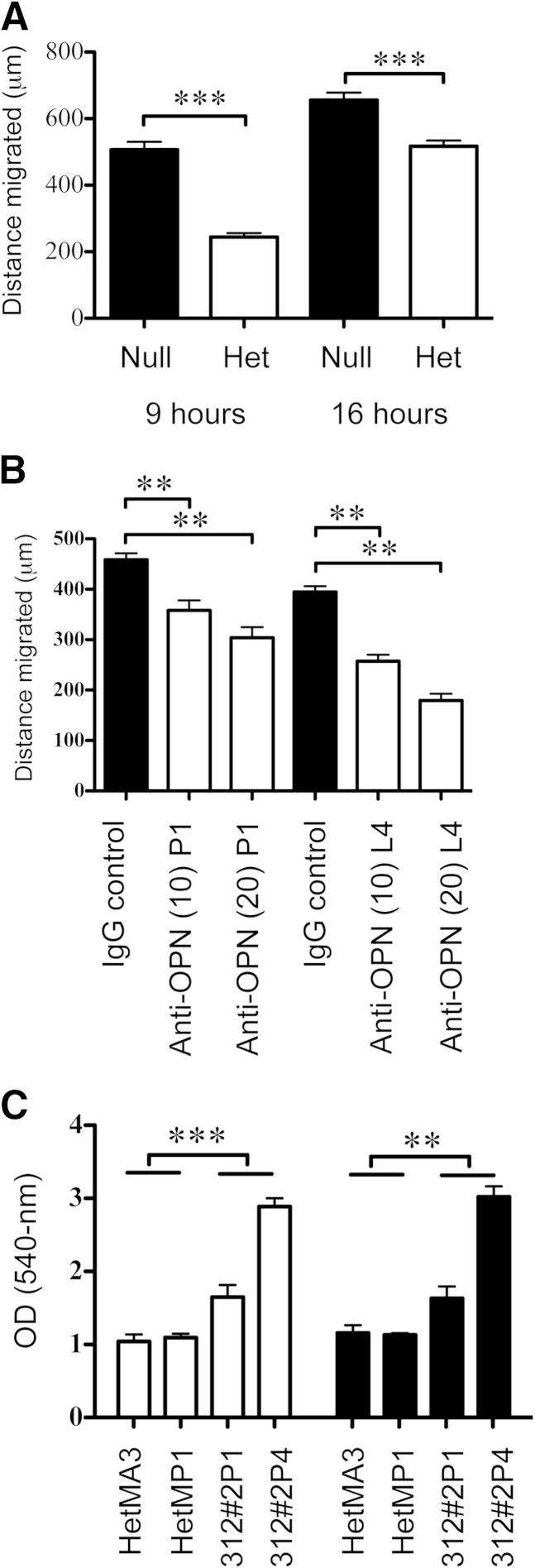 Figure 5