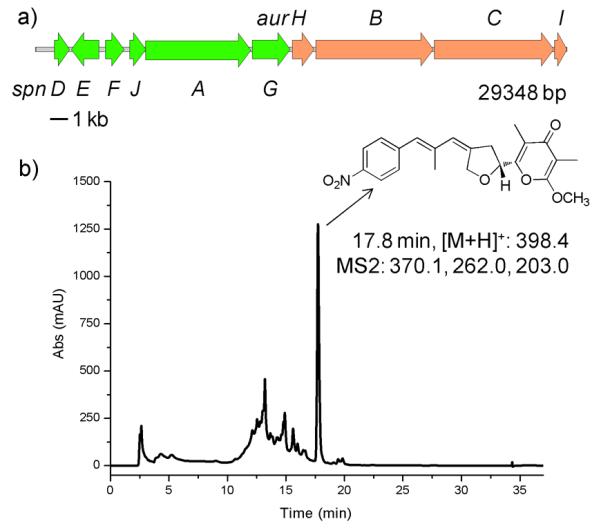 Fig. 3