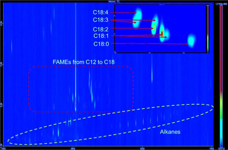 Fig. 9