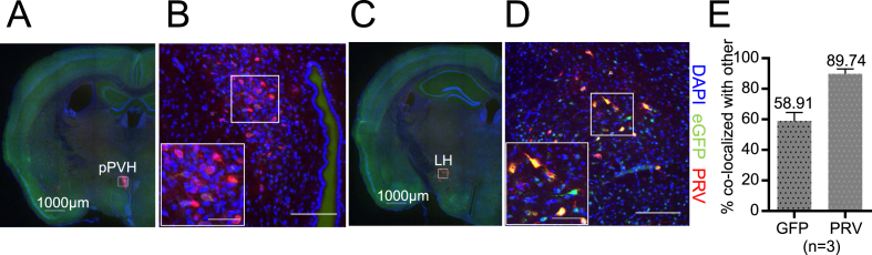 Figure 6