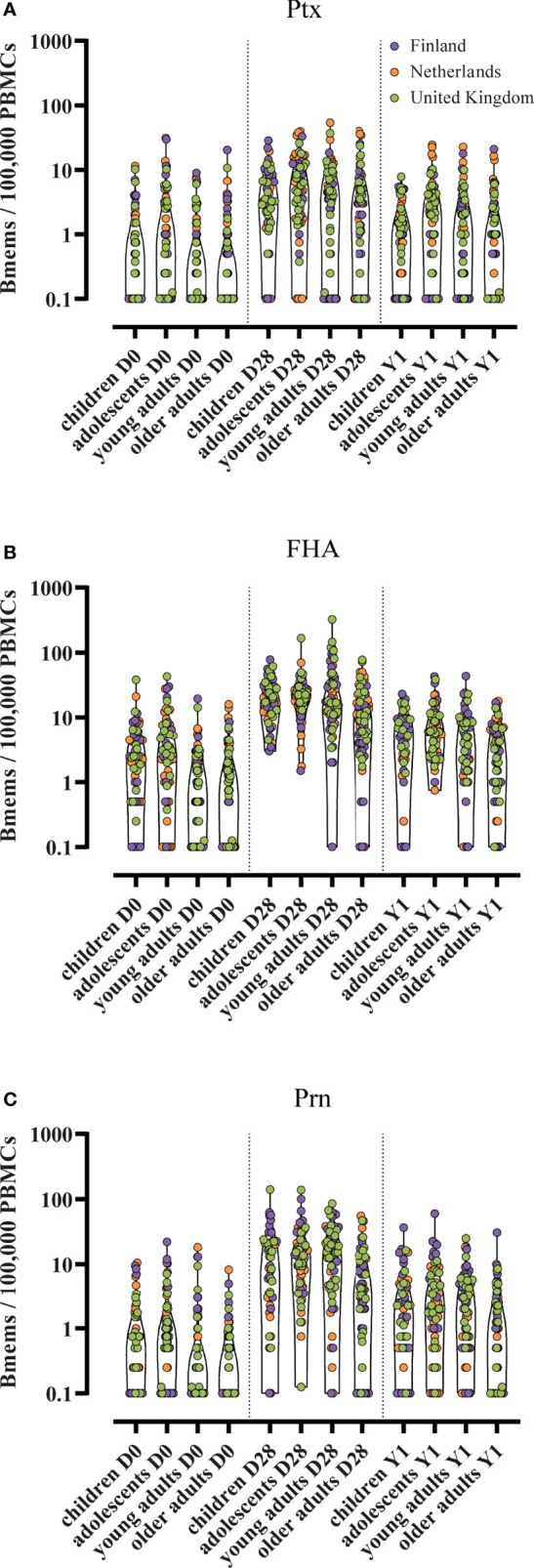 Figure 2