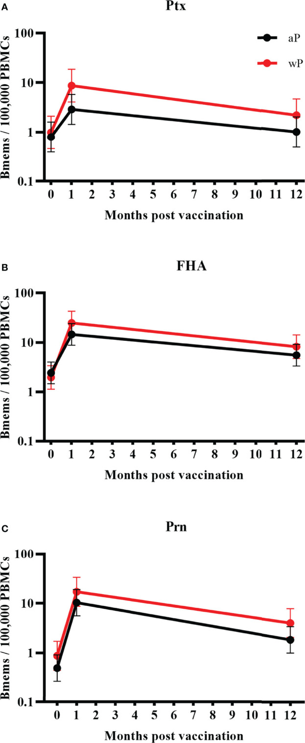 Figure 3