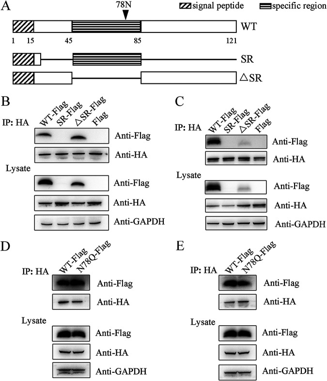 FIG 3