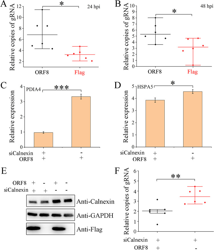 FIG 6