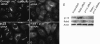 Figure 10.