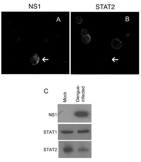 FIG. 7.